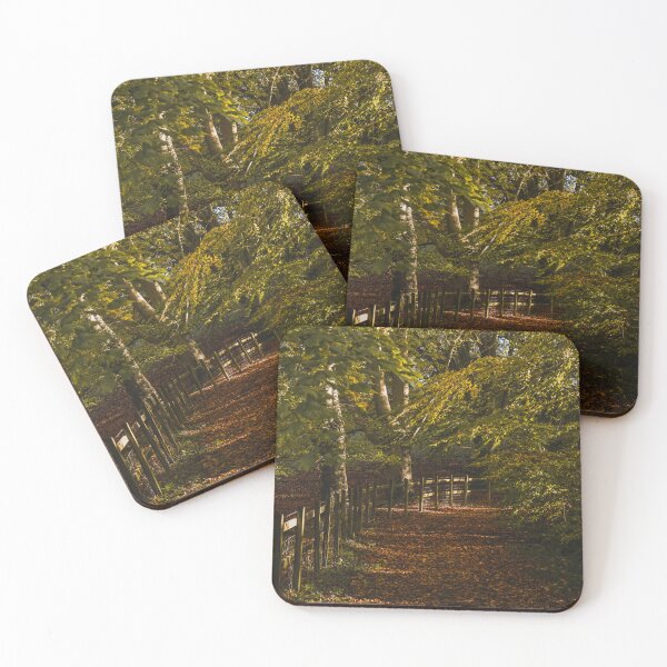 Item preview, Fall mood photography of UK somerset cotswold city Bath in Golden Autumn  designed and sold by Rowena Ko.