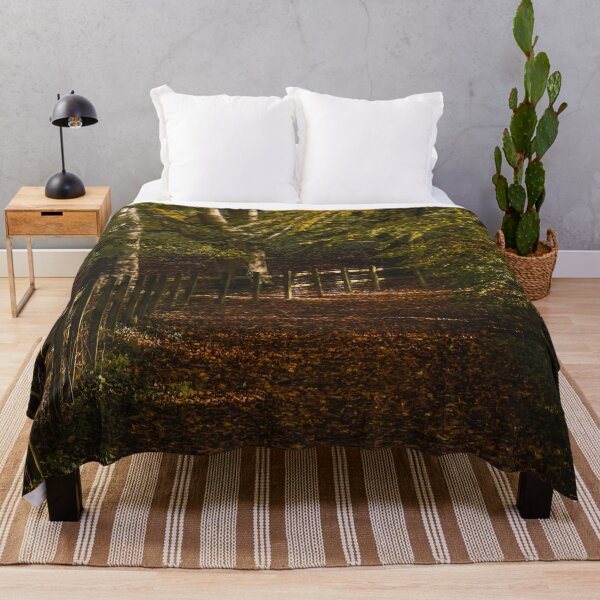 Item preview, Fall mood photography of UK somerset cotswold city Bath in Golden Autumn designed and sold by Rowena Ko.