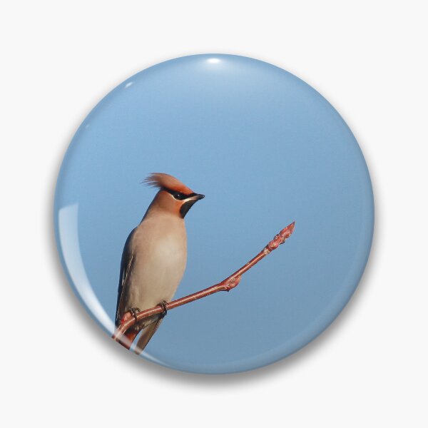 Item preview, Winter waxwings  designed and sold by miradorpictures.