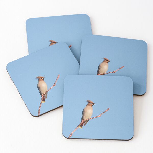 Item preview, Winter waxwings  designed and sold by miradorpictures.