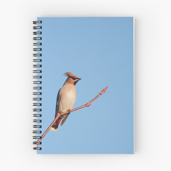 Item preview, Winter waxwings  designed and sold by miradorpictures.