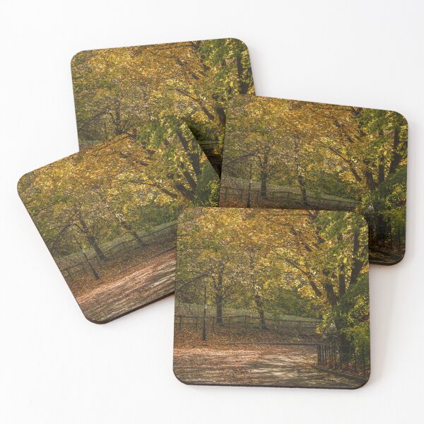 Item preview, Fall mood photography of UK somerset cotswold city Bath in Golden Autumn  designed and sold by Rowena Ko.