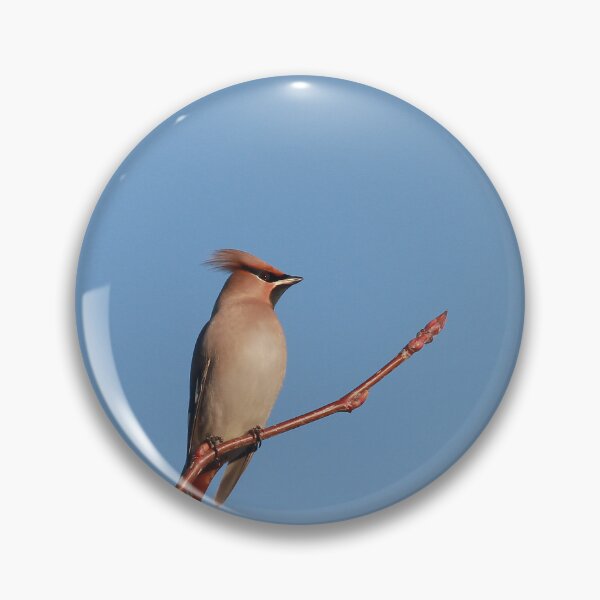 Item preview, Waxing winter  designed and sold by miradorpictures.