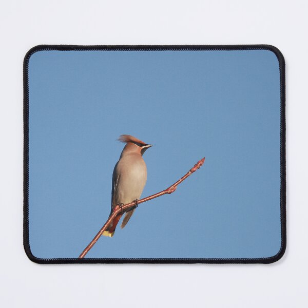 Item preview, Waxing winter designed and sold by miradorpictures.