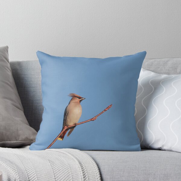 Item preview, Waxing winter  designed and sold by miradorpictures.