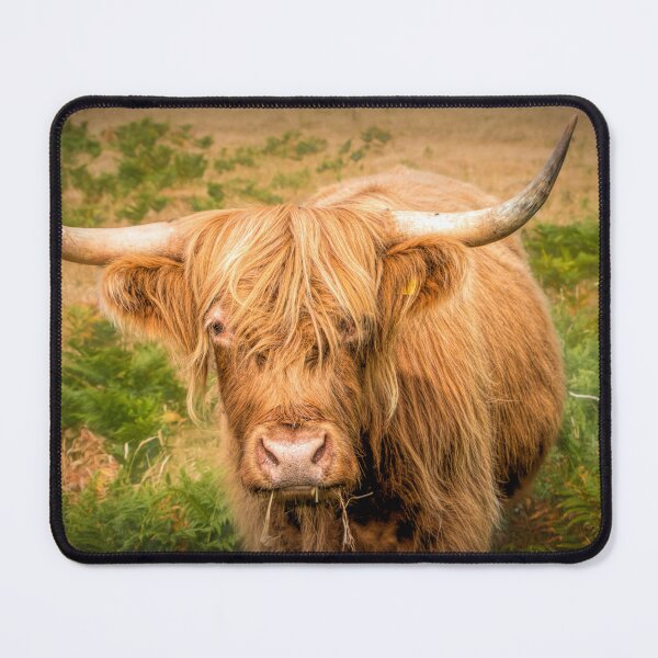 Item preview, Shaggy designed and sold by Viv Thompson Photography .