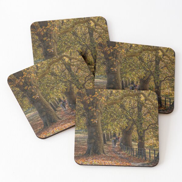 Item preview, Fall mood photography of UK somerset cotswold city Bath in Golden Autumn  designed and sold by Rowena Ko.