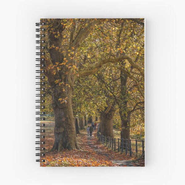 Item preview, Fall mood photography of UK somerset cotswold city Bath in Golden Autumn  designed and sold by Rowena Ko.