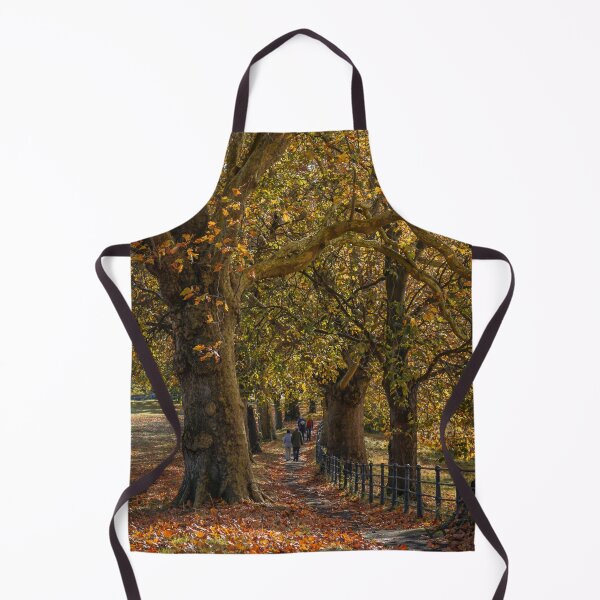 Item preview, Fall mood photography of UK somerset cotswold city Bath in Golden Autumn designed and sold by Rowena Ko.