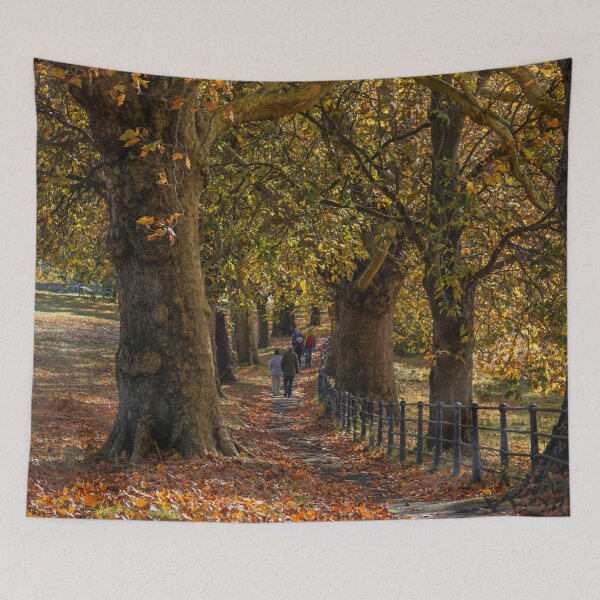 Item preview, Fall mood photography of UK somerset cotswold city Bath in Golden Autumn  designed and sold by Rowena Ko.