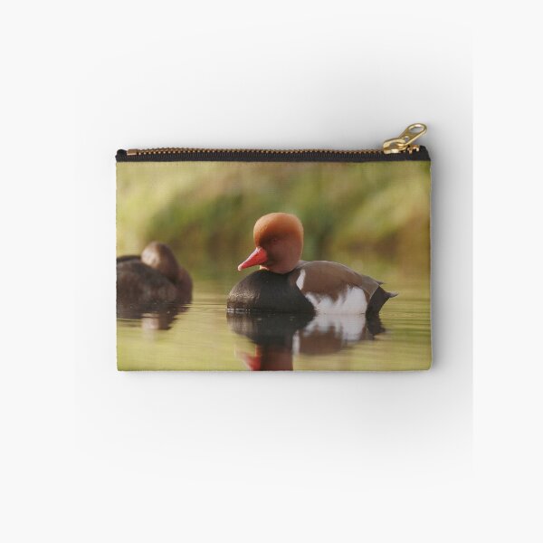 Item preview, Posing pochard designed and sold by miradorpictures.