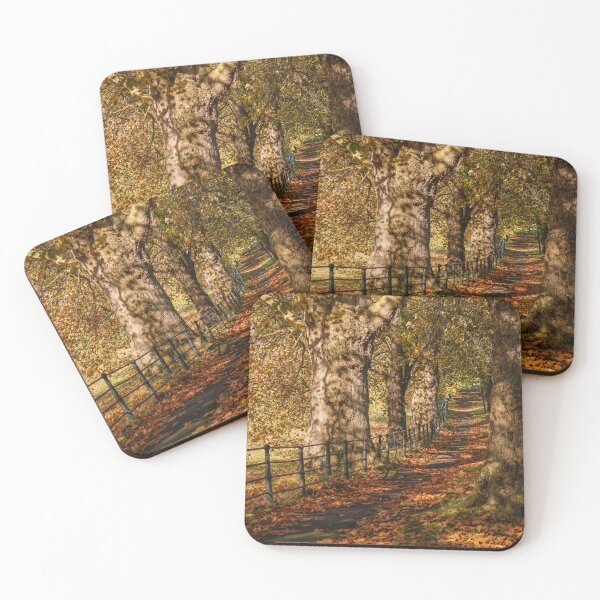 Item preview, Fall mood photography of UK somerset cotswold city Bath in Golden Autumn  designed and sold by Rowena Ko.