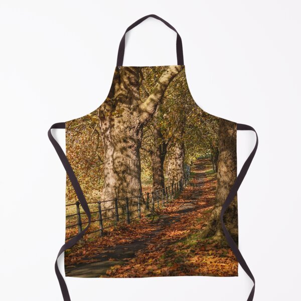 Item preview, Fall mood photography of UK somerset cotswold city Bath in Golden Autumn  designed and sold by Rowena Ko.