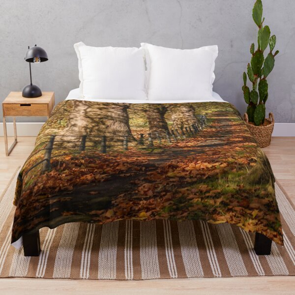 Item preview, Fall mood photography of UK somerset cotswold city Bath in Golden Autumn  designed and sold by Rowena Ko.