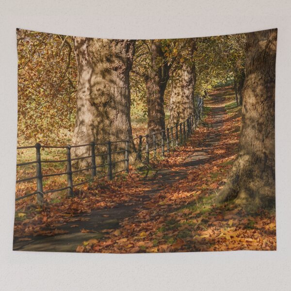 Item preview, Fall mood photography of UK somerset cotswold city Bath in Golden Autumn  designed and sold by Rowena Ko.