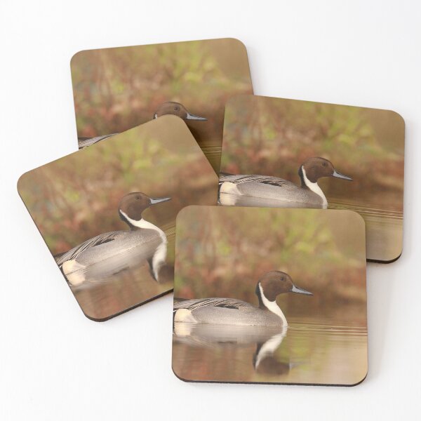 Item preview, Pintail pose  designed and sold by miradorpictures.