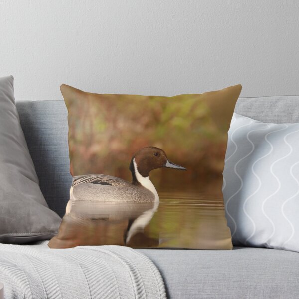 Item preview, Pintail pose  designed and sold by miradorpictures.