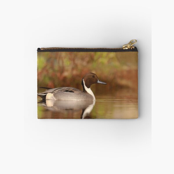 Item preview, Pintail pose  designed and sold by miradorpictures.