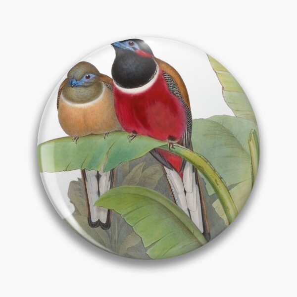 Item preview, ornithologist world designed and sold by KateBlakeO.