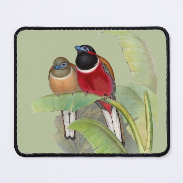 Item preview, ornithologist world designed and sold by KateBlakeO.