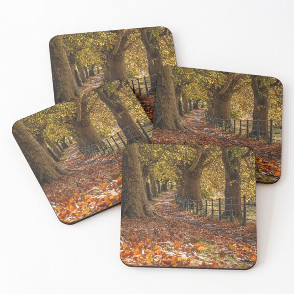 Item preview, Fall mood photography of UK somerset cotswold city Bath in Golden Autumn  designed and sold by Rowena Ko.