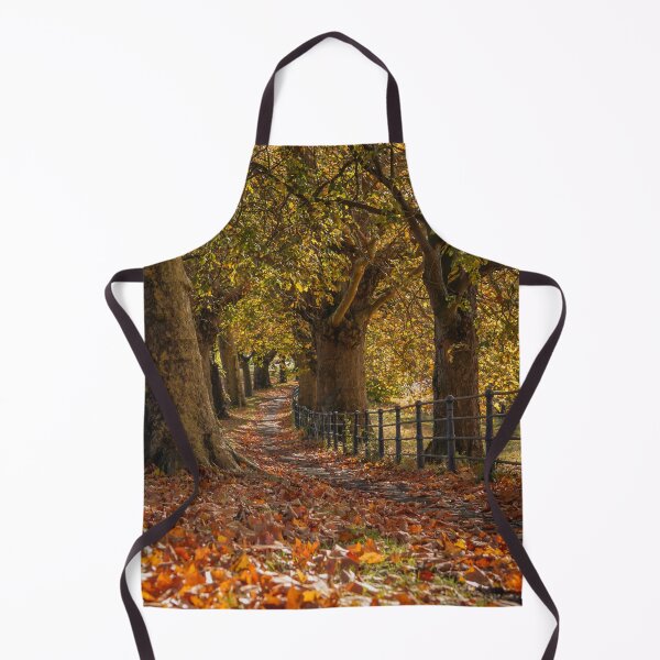 Item preview, Fall mood photography of UK somerset cotswold city Bath in Golden Autumn designed and sold by Rowena Ko.