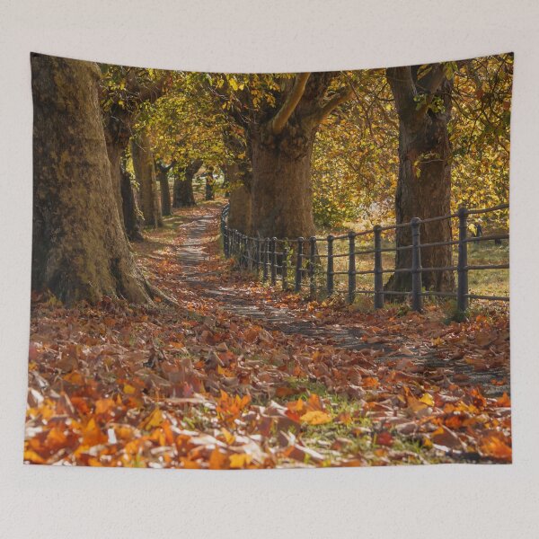 Item preview, Fall mood photography of UK somerset cotswold city Bath in Golden Autumn  designed and sold by Rowena Ko.