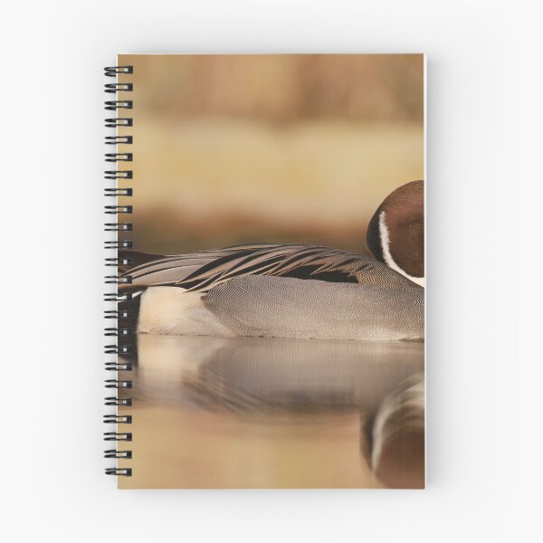 Item preview, The beauty of ducks  designed and sold by miradorpictures.
