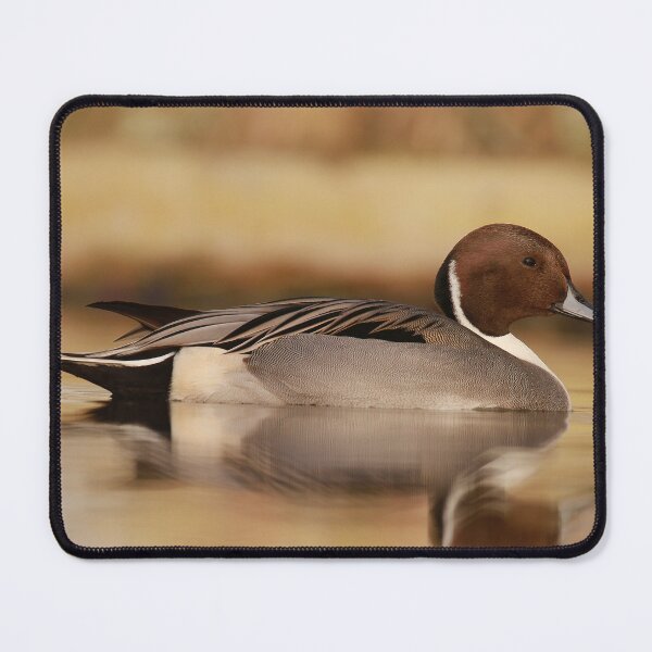 Item preview, The beauty of ducks  designed and sold by miradorpictures.