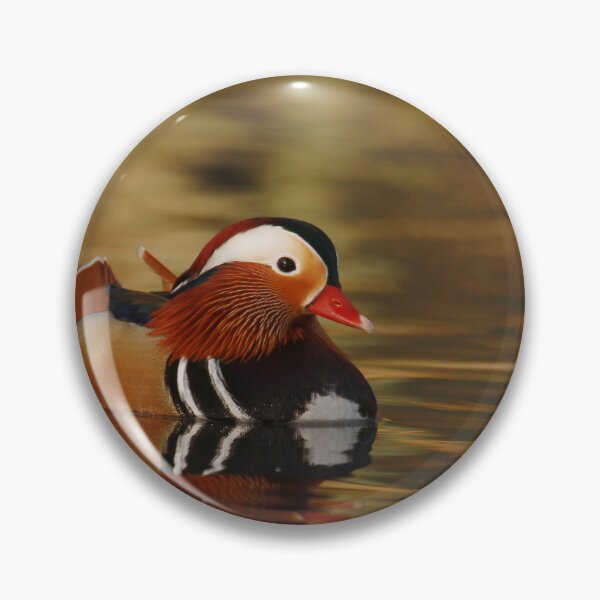 Item preview, Magnificent Mandarin designed and sold by miradorpictures.