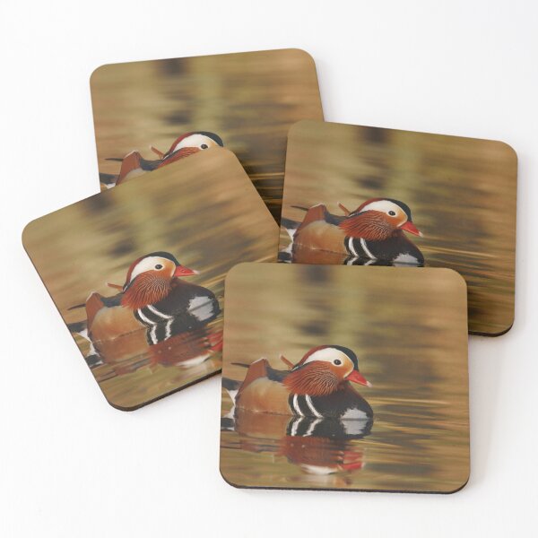 Artikelvorschau, Herrlicher Mandarin entworfen und verkauft von miradorpictures.
