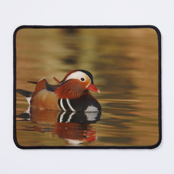 Item preview, Magnificent Mandarin designed and sold by miradorpictures.