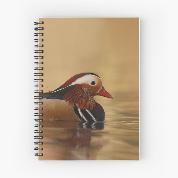 Item preview, Marvellous Mandarin designed and sold by miradorpictures.