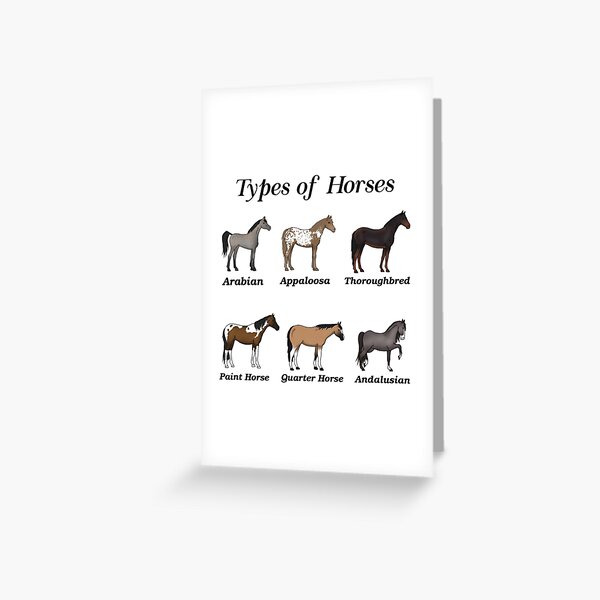 Types Of Horse Breeds Greeting Card