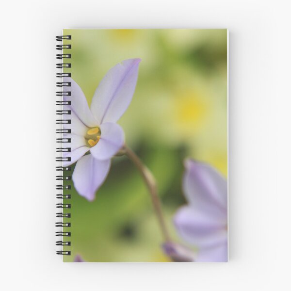 Item preview, A sign of Spring designed and sold by miradorpictures.