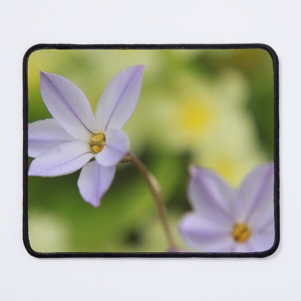 Item preview, A sign of Spring designed and sold by miradorpictures.