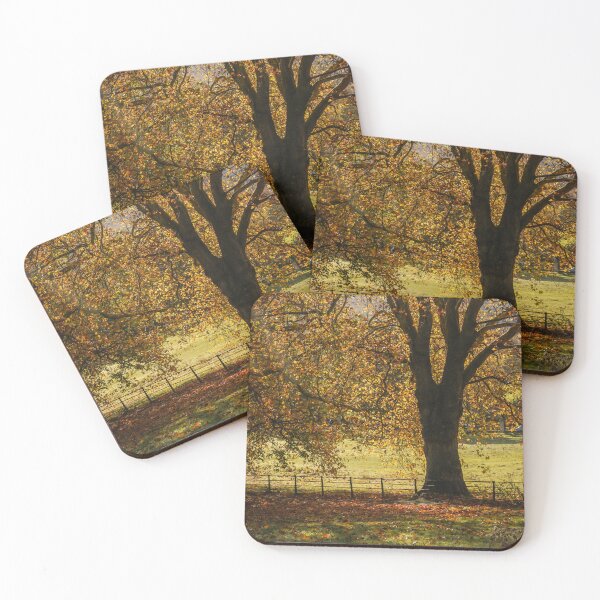 Item preview, Fall mood photography of UK somerset cotswold city Bath in Golden Autumn  designed and sold by Rowena Ko.