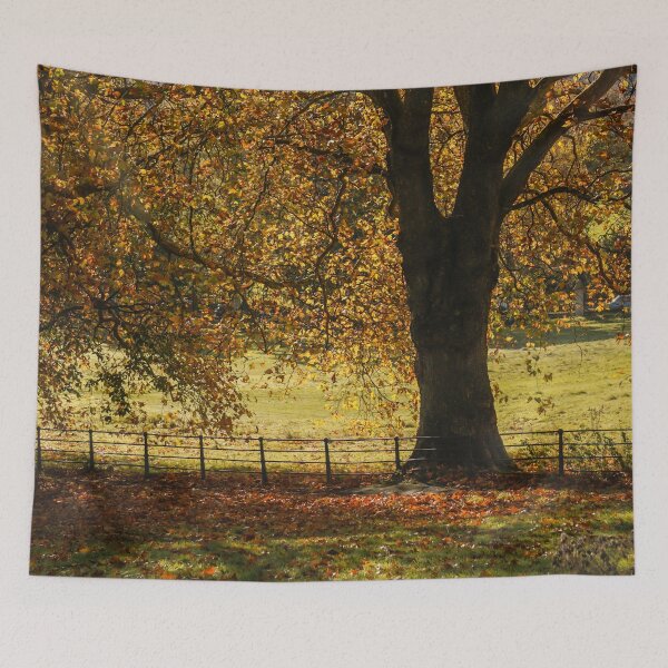 Item preview, Fall mood photography of UK somerset cotswold city Bath in Golden Autumn  designed and sold by Rowena Ko.