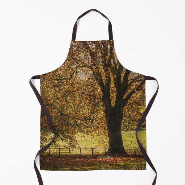 Item preview, Fall mood photography of UK somerset cotswold city Bath in Golden Autumn  designed and sold by Rowena Ko.