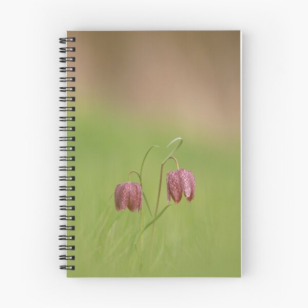 Item preview, Fabulous Fritillaries designed and sold by miradorpictures.