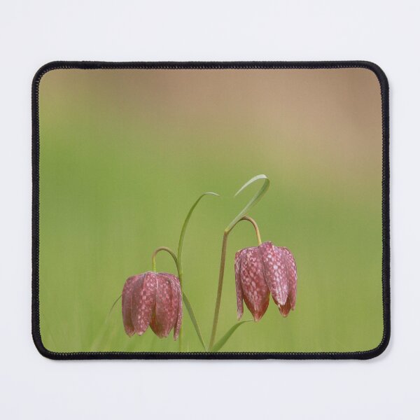 Item preview, Fabulous Fritillaries designed and sold by miradorpictures.