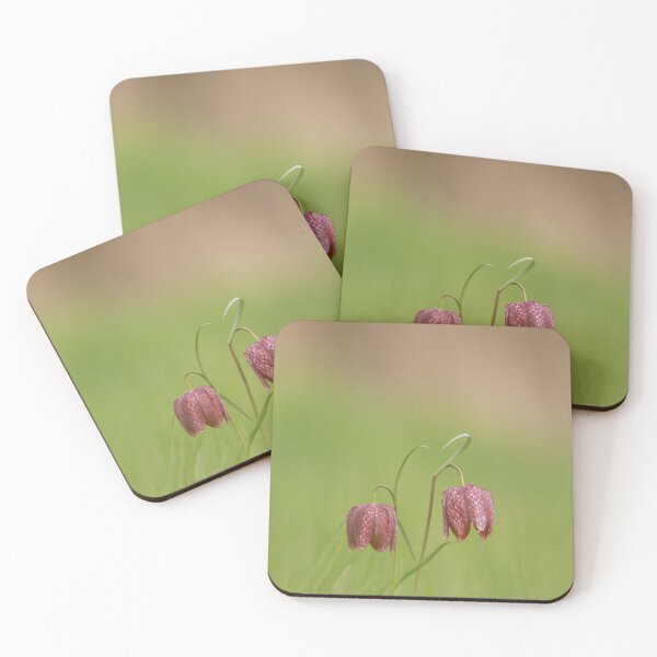 Item preview, Fabulous Fritillaries designed and sold by miradorpictures.