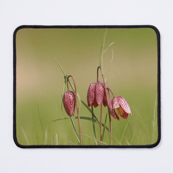 Item preview, Meadows of Fritillaries designed and sold by miradorpictures.