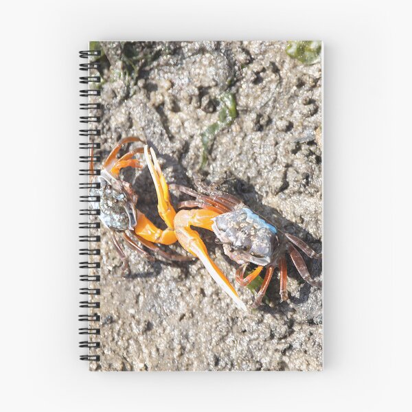 Item preview, Orange fiddler crabs, Gelasimus vocans designed and sold by Zosimus.