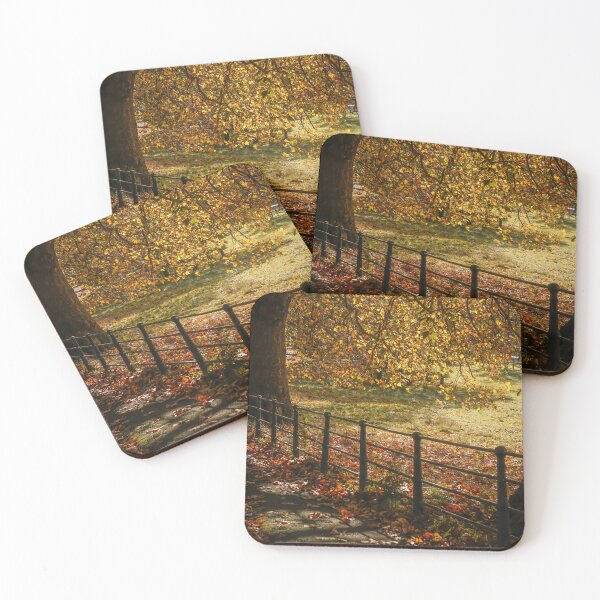 Item preview, Fall mood photography of UK somerset cotswold city Bath in Golden Autumn  designed and sold by Rowena Ko.