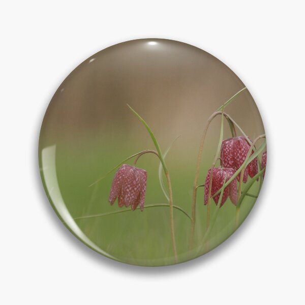 Item preview, Meadows of colour  designed and sold by miradorpictures.
