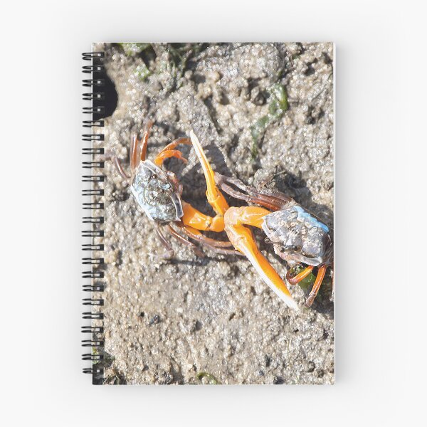 Item preview, Orange fiddler crabs, Gelasimus vocans designed and sold by Zosimus.