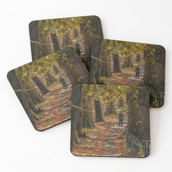 Item preview, Fall mood photography of UK somerset cotswold city Bath in Golden Autumn  designed and sold by Rowena Ko.