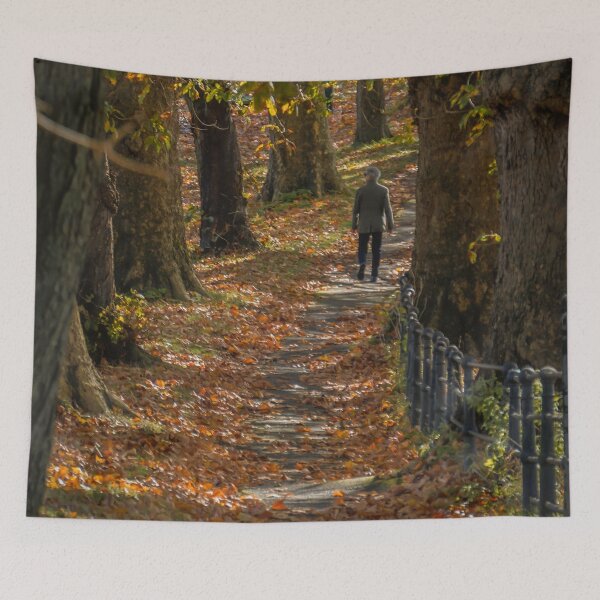 Item preview, Fall mood photography of UK somerset cotswold city Bath in Golden Autumn  designed and sold by Rowena Ko.