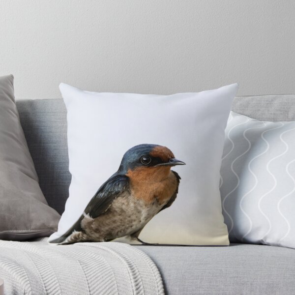 Item preview, Pacific swallow, Hirundo tahitica, sitting on a road sign designed and sold by Zosimus.